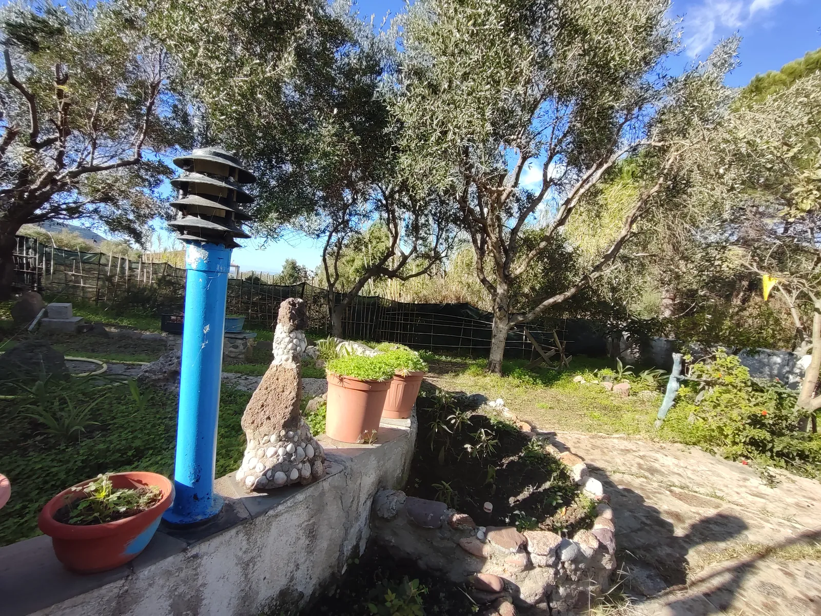 Giardino con ulivi secolari, un lampione azzurro e vasi sul muretto di pietra