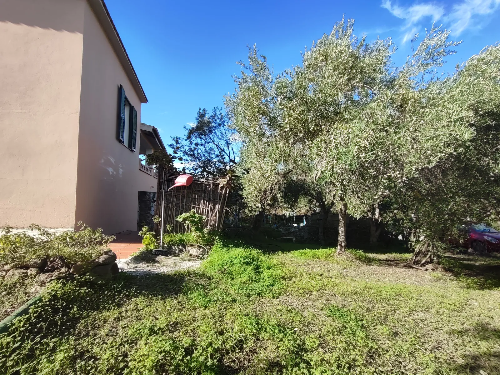 Il fianco della casa con gli ulivi e il prato